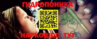 spice Заводоуковск