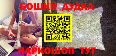 индика Заволжье