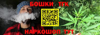 индика Заволжье