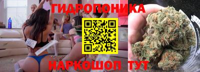 индика Заволжье