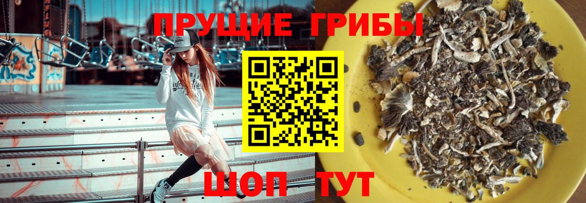 Магнитогорск  Псилоцибиновые грибы MAGIC MUSHROOMS  Вход с VPN  Галлюциногенные грибы прущие грибы 
